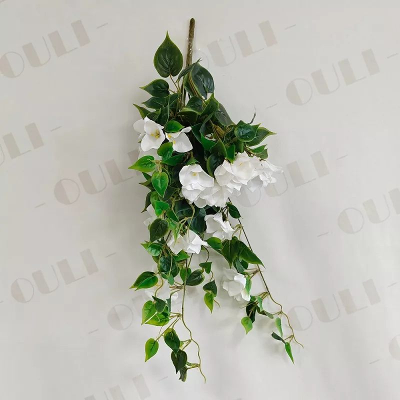 Falošné bougainvillea visiace kvety