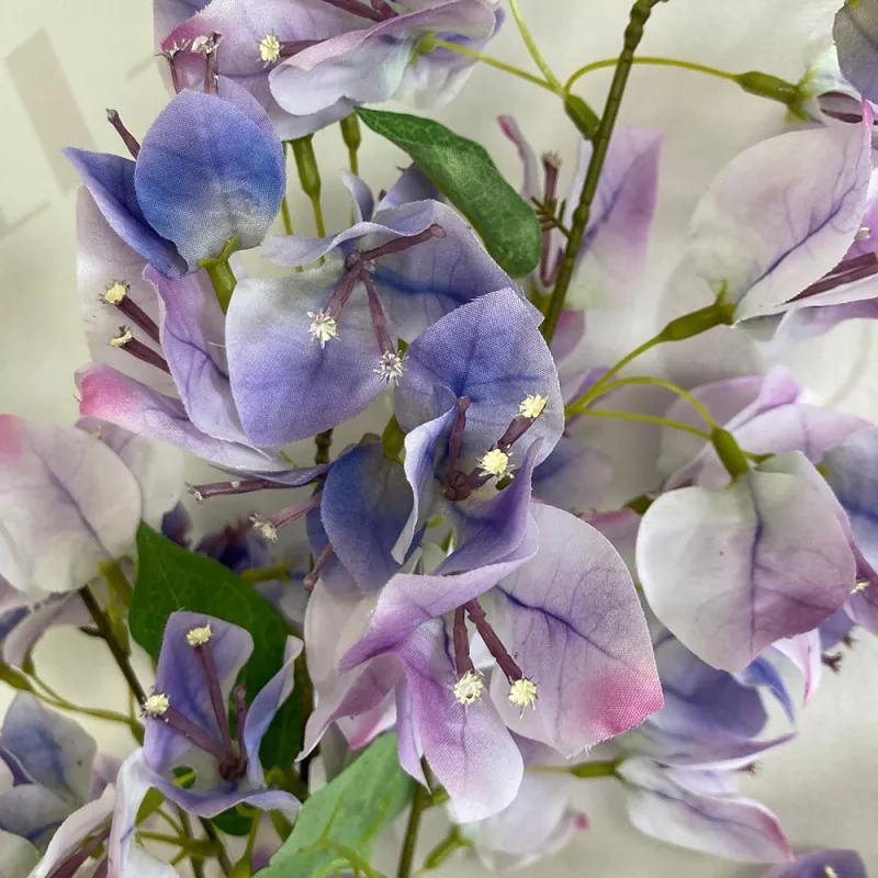 silk bougainvillea bush