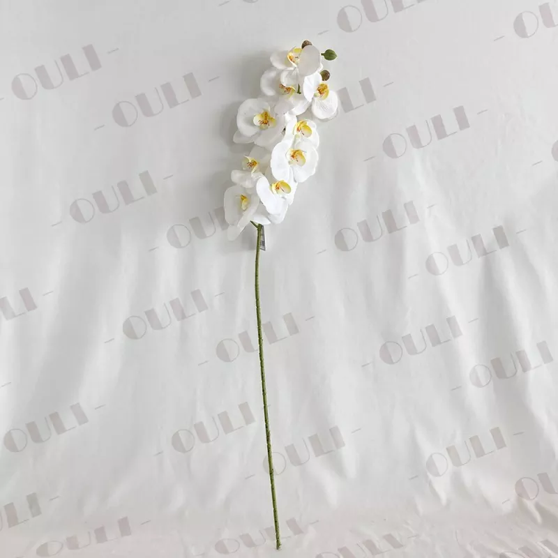 Skutočný dotyk falošná orchidea